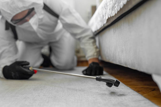 Professional Termite Control technician working in Kenwood Estates, FL