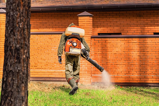 Trusted Ant Control service in Kenwood Estates, FL - Nex Pest Control